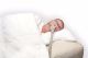 IntelliPAP CPAP Pillow