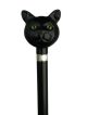 Catatude Cane