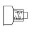 Syringe Only 5cc Luer-Lok Tip Box/125